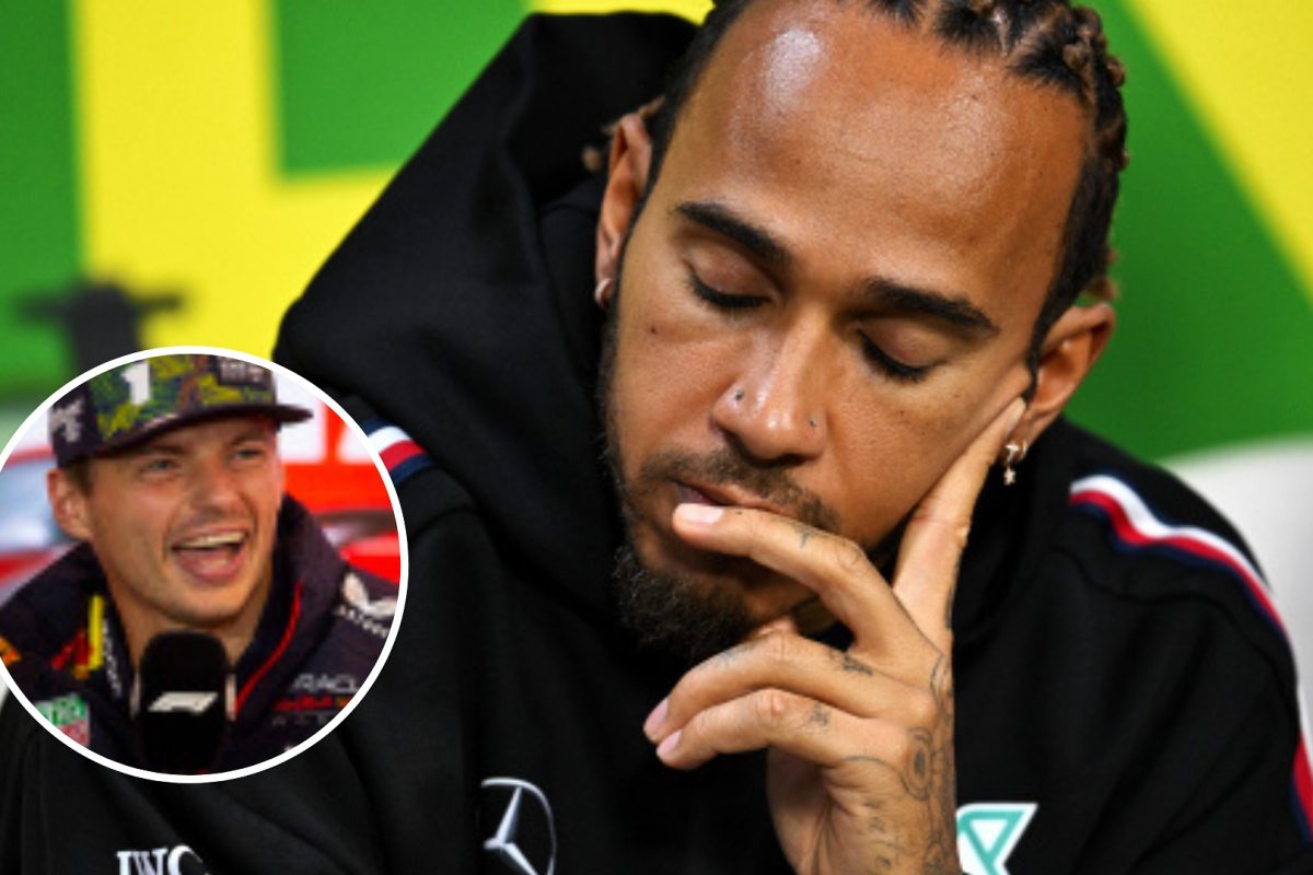 F1 pundit weighs in on &#8216;DREAM&#8217; Hamilton and Verstappen link-up talks