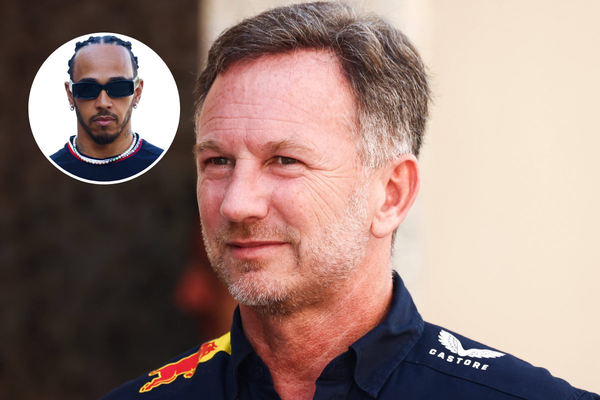 Hamilton Speaks Out: Investigating the Importance of Horner's Actions