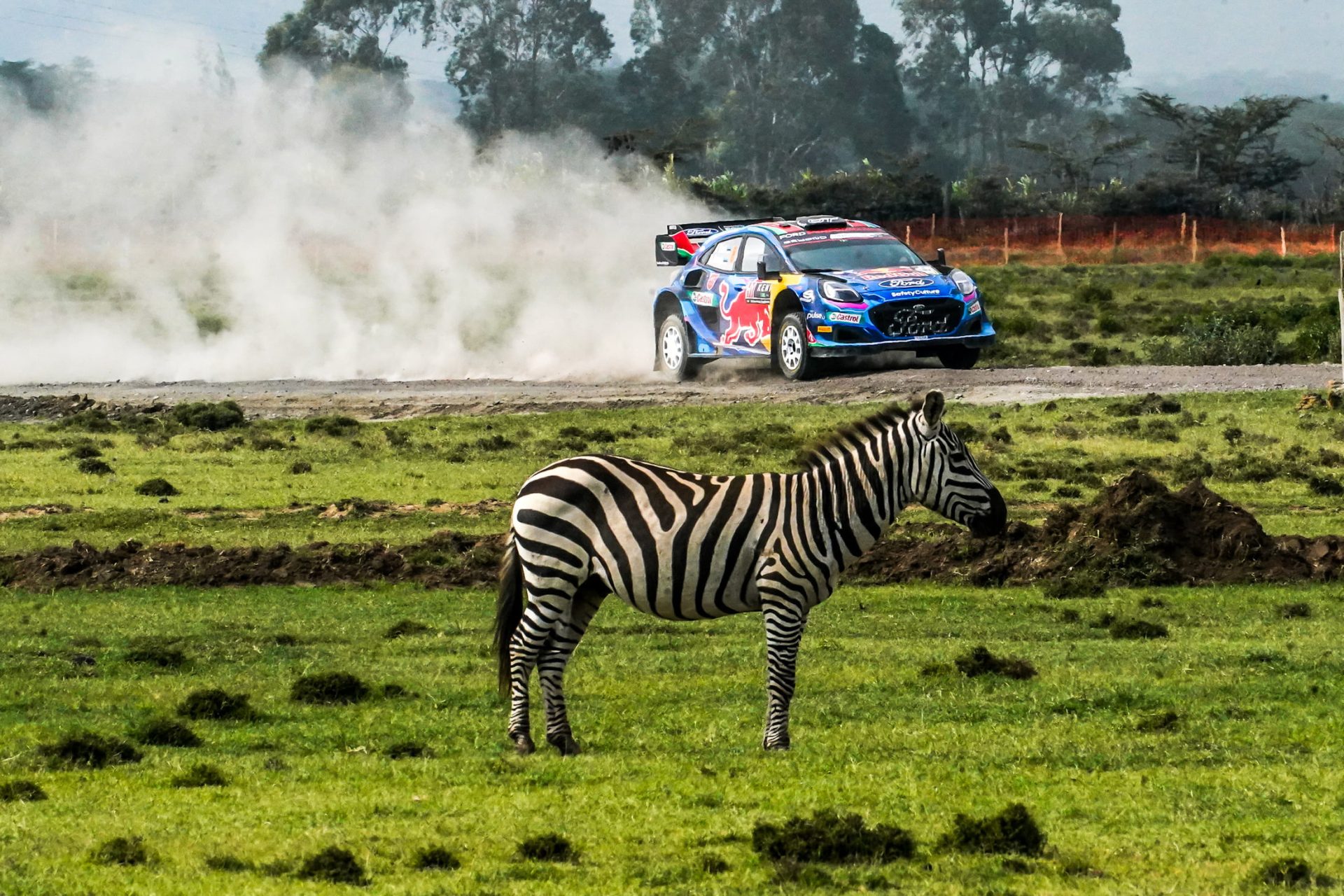 Revved Up Excitement: 29 Dynamic Entries for the Safari Rally