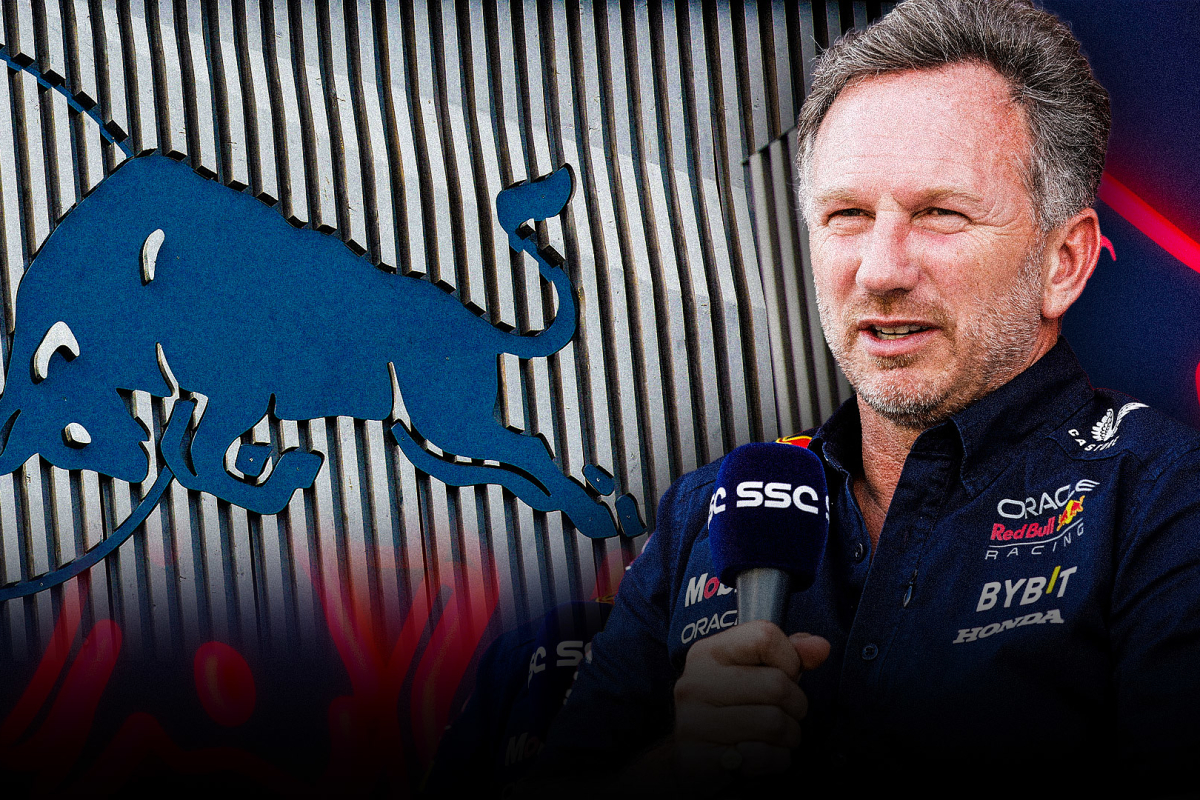Red Bull F1 boss Horner given BIG Sky Sports TV grilling - IN FULL