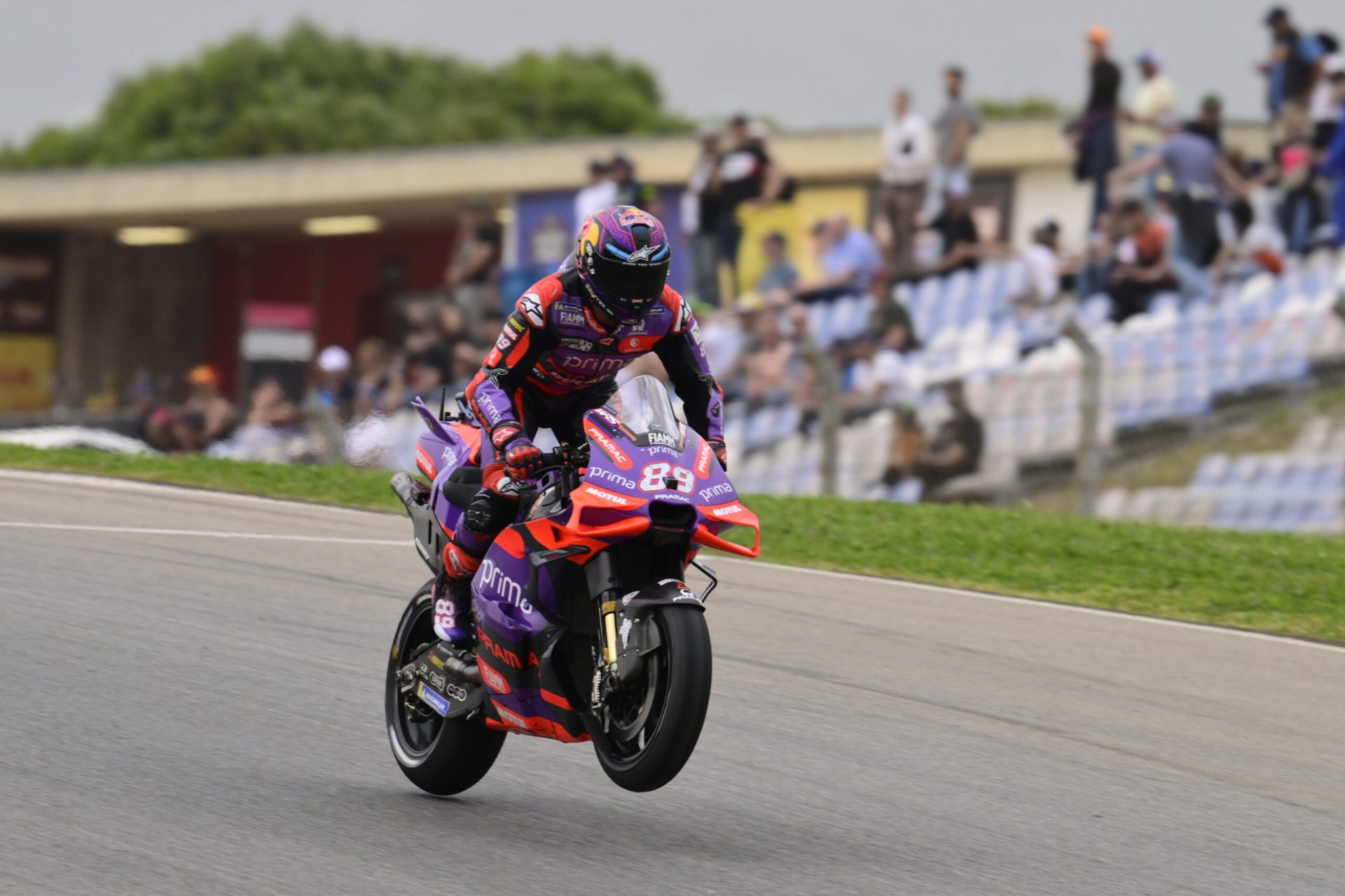 Martin Triumphs in Portuguese GP as Bagnaia and Marquez Suffer Dramatic Crashes