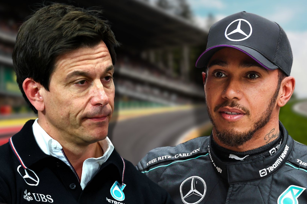 Hamilton's Dismay: A Reflection on Wolff's Message