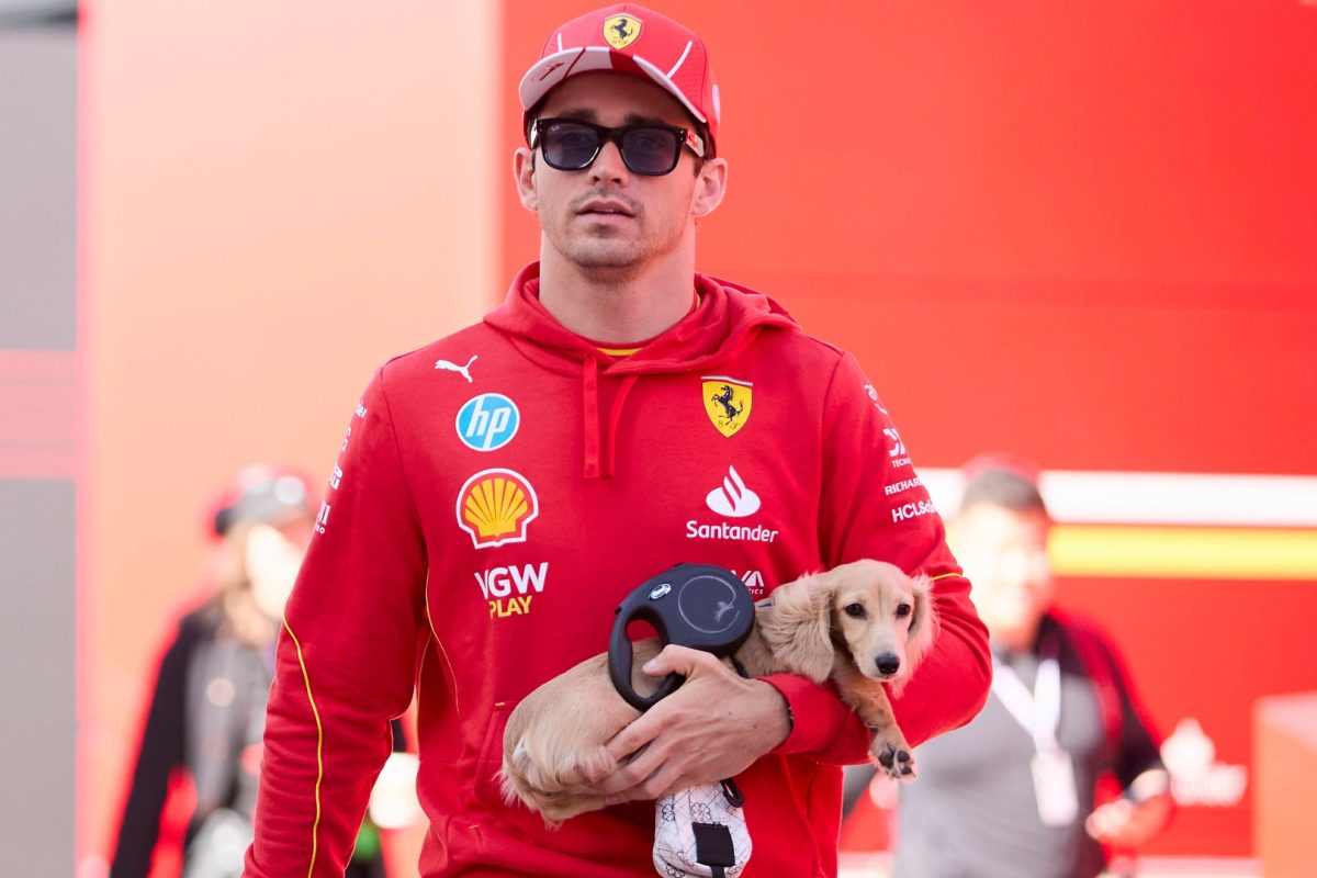 Bizarre Kravitz interview settles debate in 'BEST' new Leclerc love admission