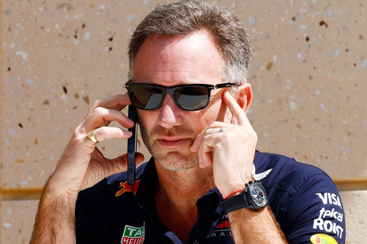 Horner EXPOSED as F1 star reveals secret Red Bull talks