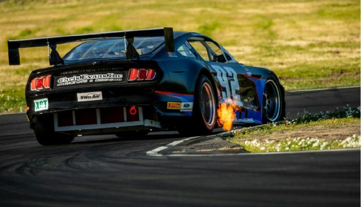 Revving Up Excellence: Trans Am Series Unveils TA Cup Class for 2025 Season