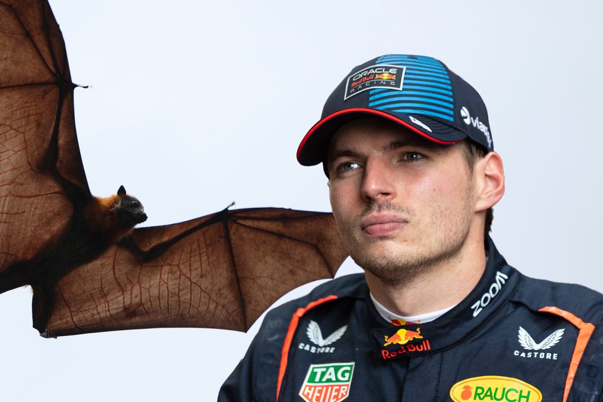 Verstappen makes bizarre bat claim