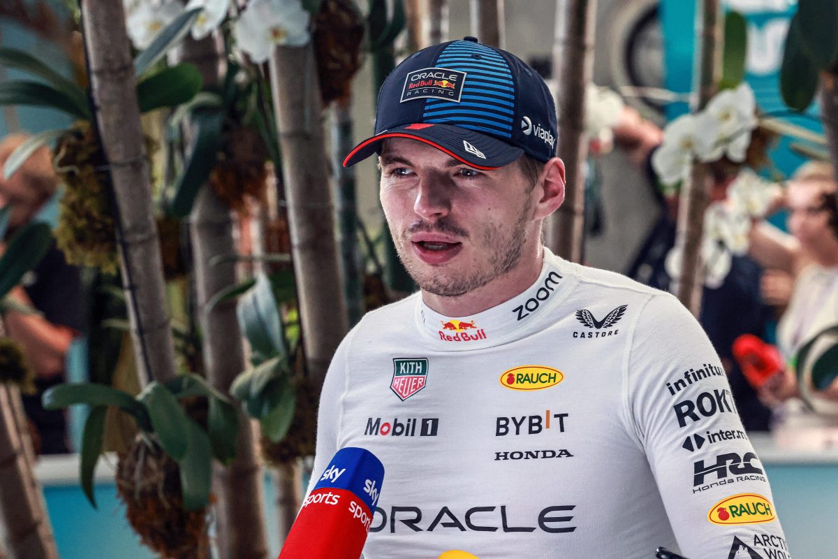 Sky F1 pundit DEFENDS Verstappen in 'petulant' confrontation with fan