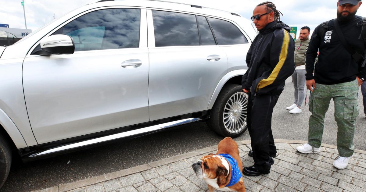 Driving with Heart: Lewis Hamilton's Inspirational Response to Roscoe's Illness
