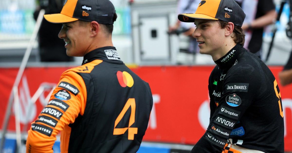 Decoding the 'Pure' Distinction: Insights from a Former F1 Driver on Lando Norris and Oscar Piastri
