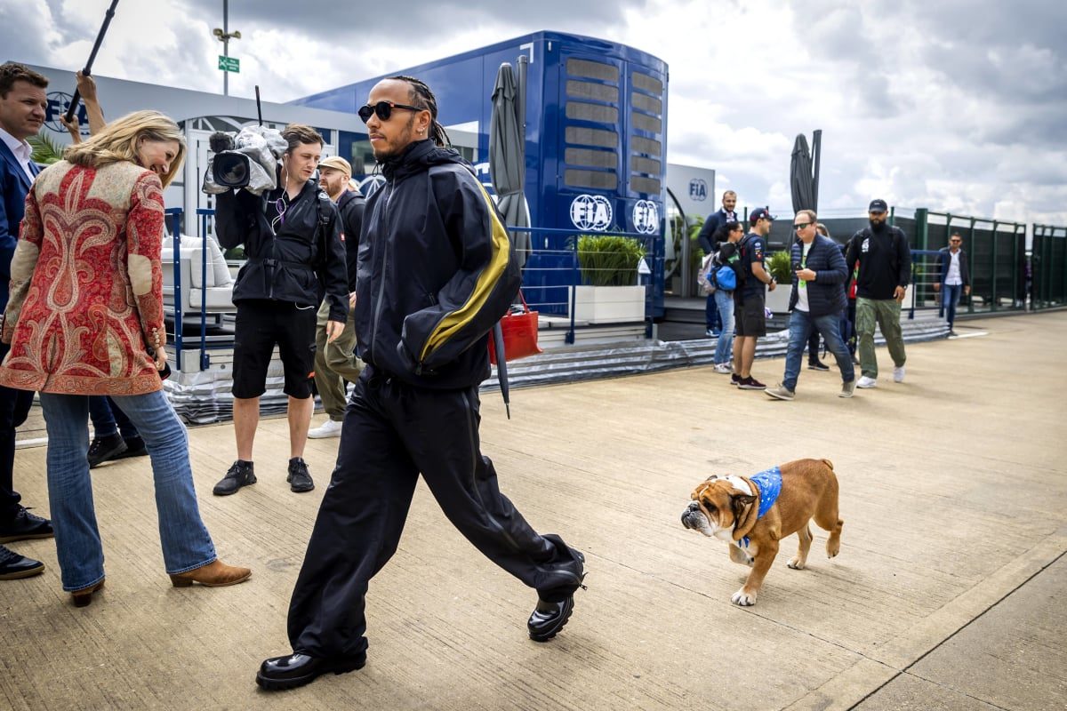 Hamilton Revs Up with Roscoe: A Winning Formula for the British Grand Prix