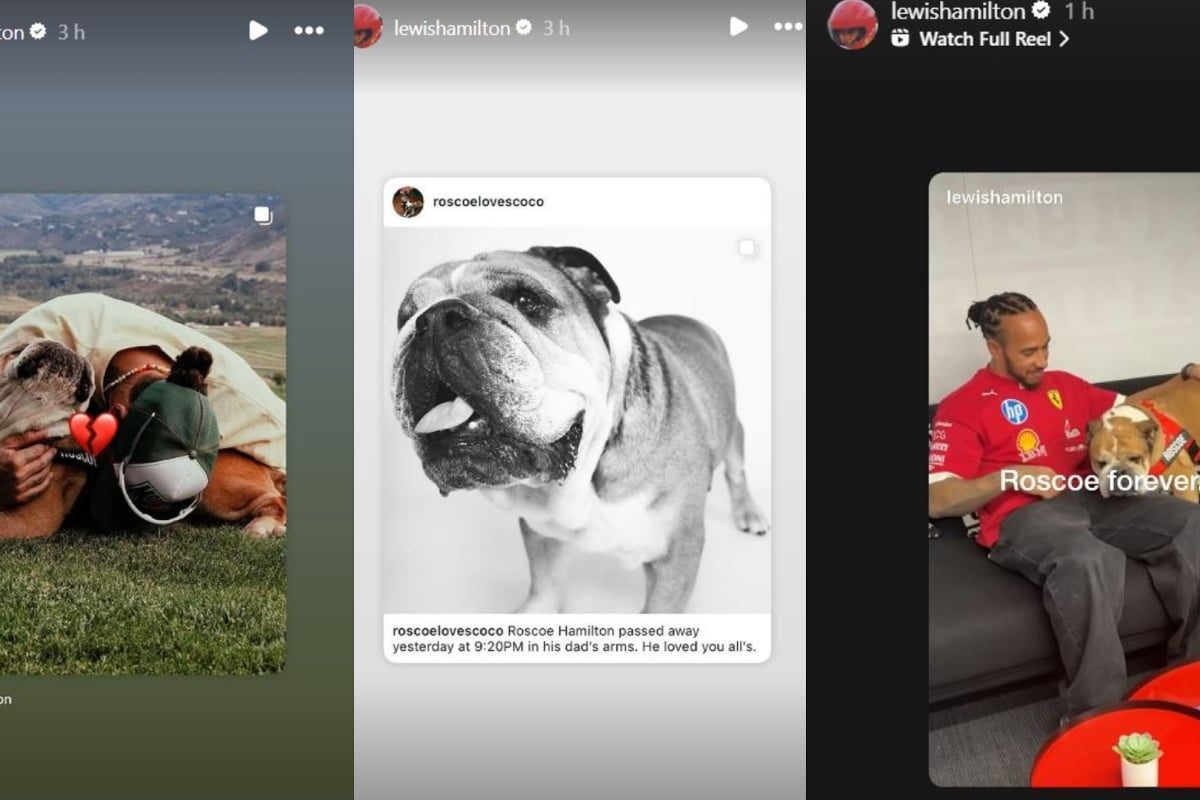 Roscoe tribute: Lewis Hamilton makes emotional video after dog's death confirmed