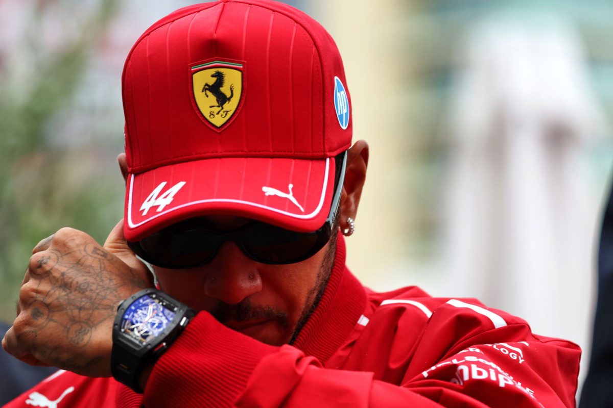 Lewis Hamilton shares worrying health update about Roscoe