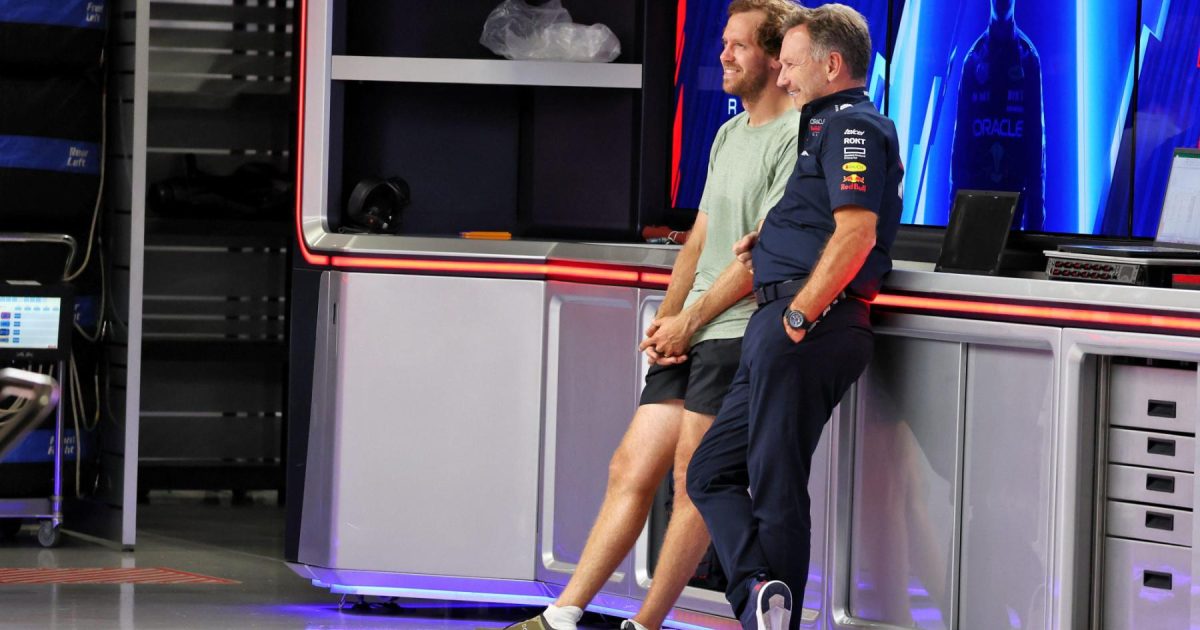 Sebastian Vettel weighs in on shock Christian Horner Red Bull exit