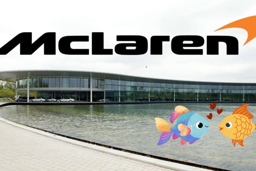 Aquatic Intrigue: F1 Team Plagued by Carp Chaos as Amorous Fish Overpopulate